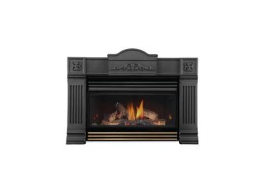 Napoleon insert fireplace Roxbury GI3600