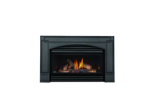 Napoleon insert fireplace Roxbury GI3600