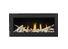 Fireplace Napoleon Vector LV38