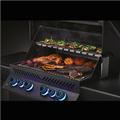 Napoleon Prestige BBQ,PHANTOM P500