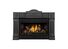 Fireplace Napoleon Roxbury GDI30