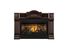 Fireplace Napoleon Roxbury GDI30