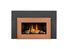 Fireplace Napoleon Roxbury GDI30